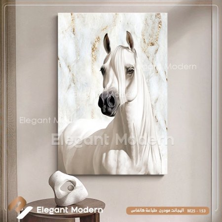 خيل عربي ابيض